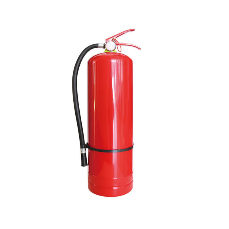 Extintor de polvo de 9 kg